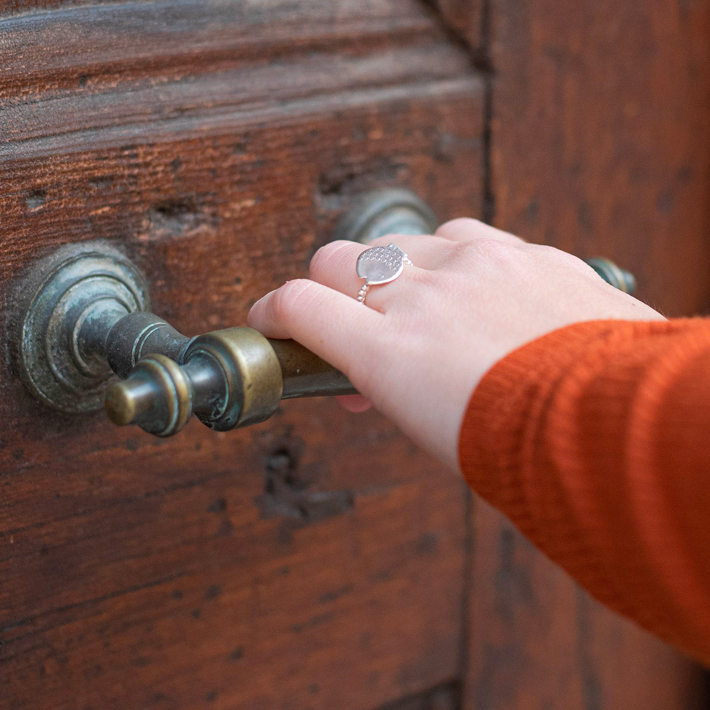 Anello Elastico Argento Pesce
