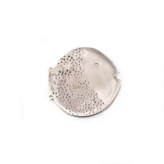 Pesce Spilla Argento